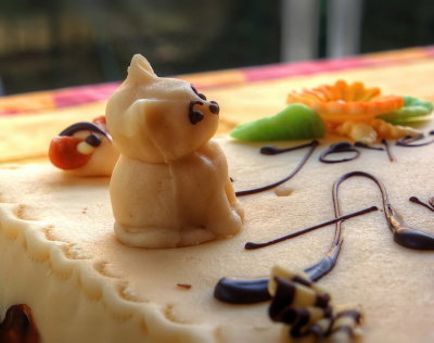 Cat on birthday cake