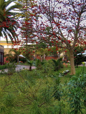 Hotel Garden