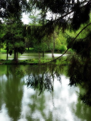 Over quiet pond