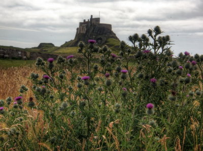 Lindisfarne Castle