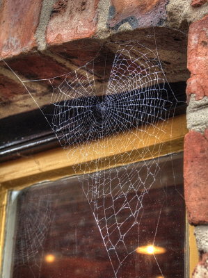 Spiderweb