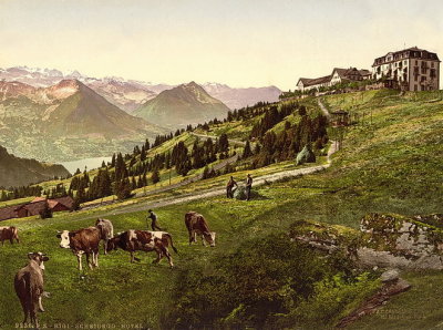 Mt. Rigi Scheidegg Hotel
