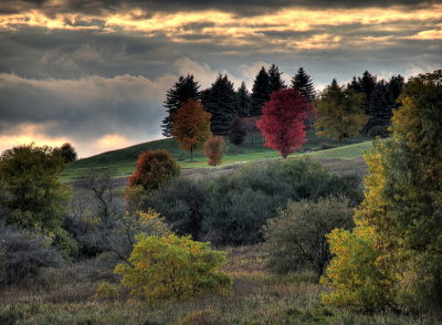 Colourful trees at sunset