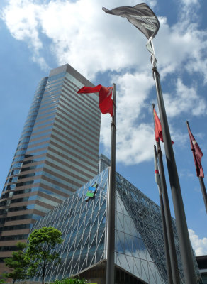 CBD icon