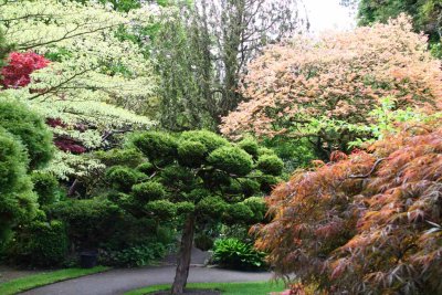 The Irish National Stud - Japanese Gardens