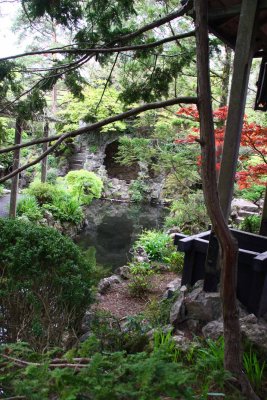 The Irish National Stud - Japanese Gardens