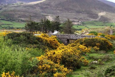 The Ring of Kerry