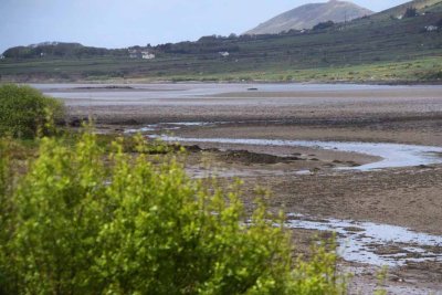 The Ring of Kerry