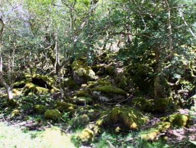 The Ring of Kerry