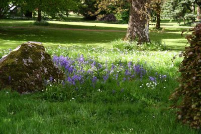 Blarney Castle and Grounds