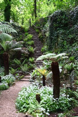 Blarney Castle and Grounds