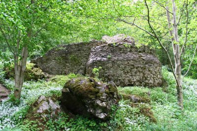 Blarney Castle and Grounds