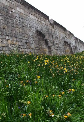 Ancient York was a Walled City