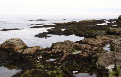 St. Andrews