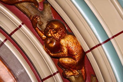 Darwin Depicted as a Monkey