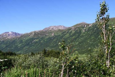 South to Seward