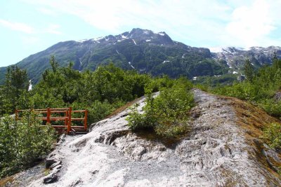 Exit Glacier