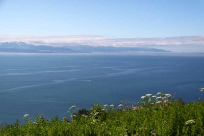 View South Toward Homer and The Spit