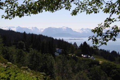 View South Toward Homer and The Spit