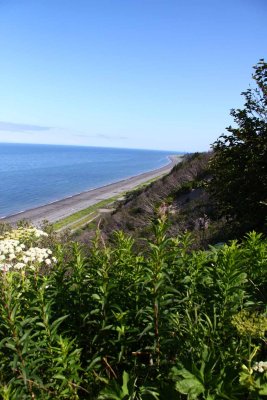 A View of Cook Inlet