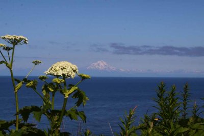 Mt. Redoubt