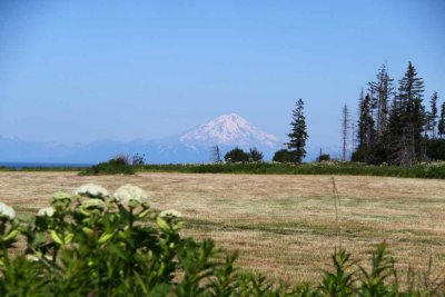 Mt. Redoubt