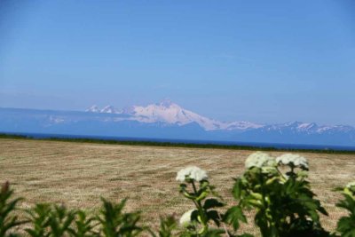 Mt. Iliamna