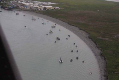 The Sockeye Are Running and The Fishermen Are Also