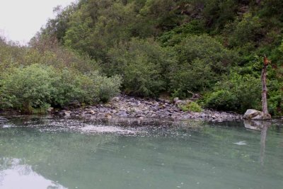 Wolverine Creek - and yes salmon will negotiate that rocky stream