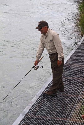 Marlow's On The Kenai