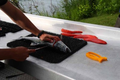 Fishing the Middle Kenai for Sockeye - On the Water at 5:00 - Back With a Limit By 7:45
