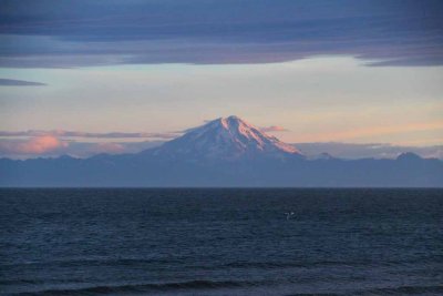 Mt. Redoubt in Early Morning Light After the Halibut Trip is Blown Out