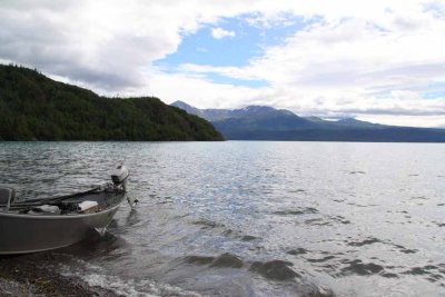 Safe Harbor