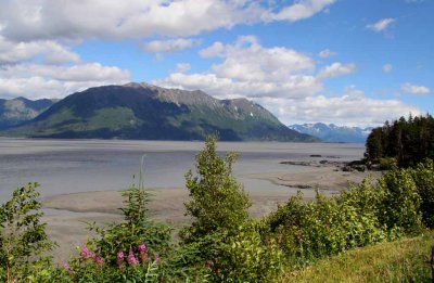 Turnagain Arm