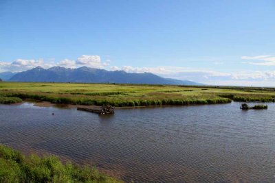 Potter Marsh - A Wonderful City Of Anchorage Wildlife Refuge