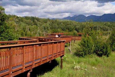 Potter Marsh - A Wonderful City Of Anchorage Wildlife Refuge