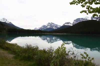 On the Road to Jasper