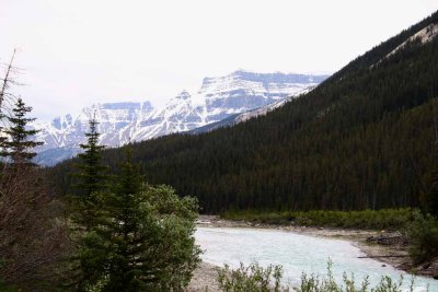 On the Road to Jasper