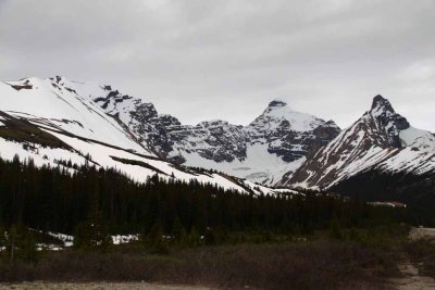 On the Road to Jasper