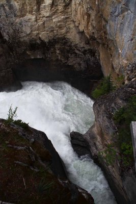 Sunwapta Falls and River