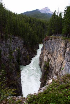 Sunwapta Falls and River