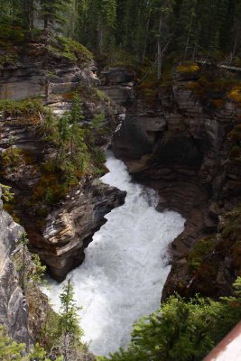 Athabasca Falls and River
