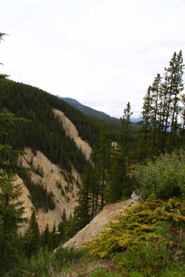 On the Road to Mt. Edith Cavell