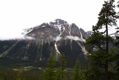 On the Road to Mt. Edith Cavell