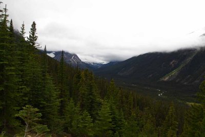 On the Road to Mt. Edith Cavell