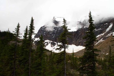 Mt. Edith Cavell - Damage From Glacier Collapse Tsunami