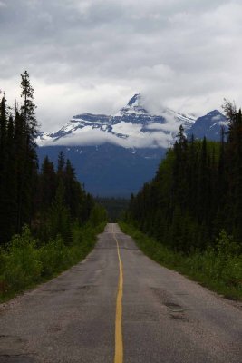 Just Follow the Road