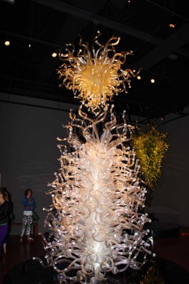 The Glass Art of Dale Chihuly