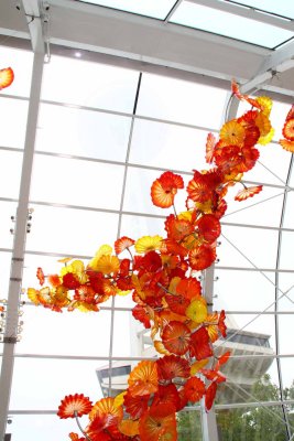 The Glass Art of Dale Chihuly