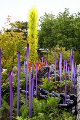 The Glass Art of Dale Chihuly